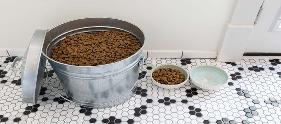 The Top 10 Dog Food Dispensers for Busy Pet Owners